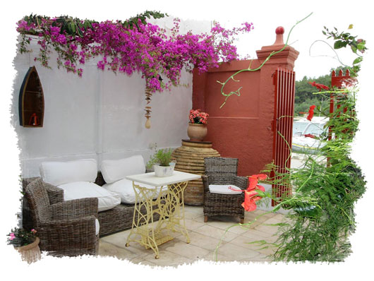 side-garden.jpg